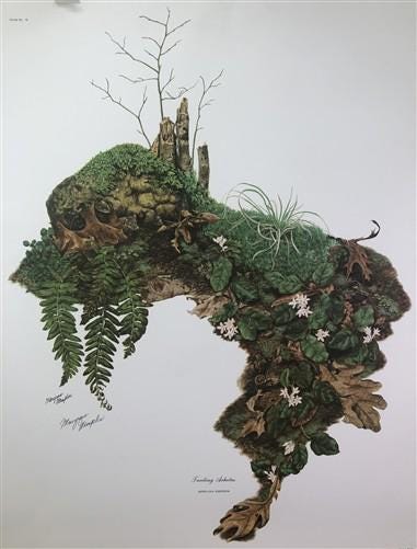 Art & Collectibles > Prints > Lithographs - Maryrose Wampler, Trailing Arbutus, Signed Print, 28x22, Wall Art, Plate 2 by...