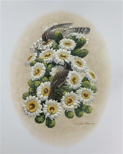 Art & Collectibles > Prints > Lithographs - Richard Sloan, Cactus Wren, Signed Print, 28x22, Wade Collection, Plate 26 by...