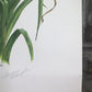Art & Collectibles > Prints > Lithographs - Maryrose Wampler, Lilies & Trumpet Vine, Signed Print, 28x22 Wall Art, Plate 2...