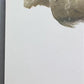 Art & Collectibles > Prints > Lithographs - Richard Sloan, California Gull, Signed Print, 28x22, Wade Collection, Plate 31...