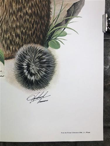 Art & Collectibles > Prints > Lithographs - Richard Timm, Ground Squirrel, Signed Print, 28x22 Wade Collection, Plate 31 b...