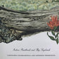Maryrose Wampler, Paintbrush & Sagebrush, Signed Print, 28x22 Wall Art, Plate 25