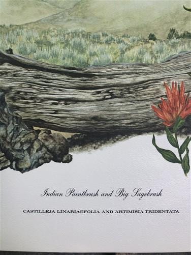 Maryrose Wampler, Paintbrush & Sagebrush, Signed Print, 28x22 Wall Art, Plate 25