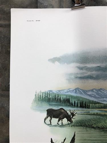 Art & Collectibles > Prints > Lithographs - Richard Timm, Alaska Moose, Signed Print, 28x22 Wade Collection, Plate 18 by T...