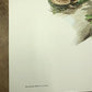 Art & Collectibles > Prints > Lithographs - Richard Timm, Racoon, Signed Prints, 28x22 Wade Collection, Plate 2 by The Old...