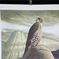 Art & Collectibles > Prints > Lithographs - Richard Sloan, Prairie Falcon, Signed Print, 28x22, Wade Collection, Plate 33...