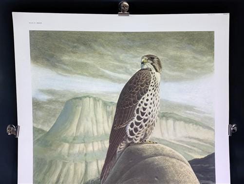 Art & Collectibles > Prints > Lithographs - Richard Sloan, Prairie Falcon, Signed Print, 28x22, Wade Collection, Plate 33...
