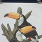 Art & Collectibles > Prints - Axel Amuchastegui, Toco Toucan, 20.75x14 South American Bird Art Print I by The Old Grainery...