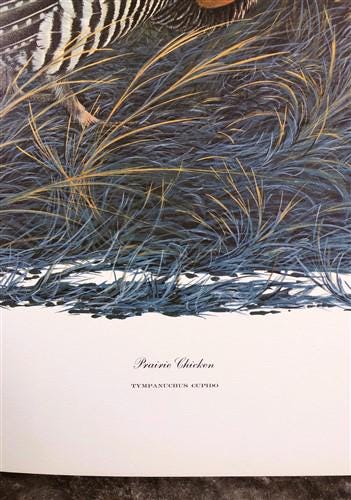 Art & Collectibles > Prints > Lithographs - Richard Sloan, Prairie Chicken, Signed Print, 28x22, Wade Collection, Plate 11...