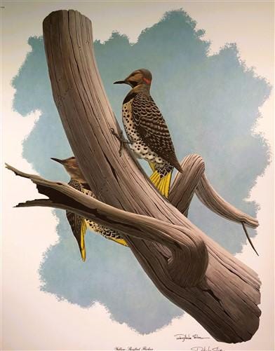 Art & Collectibles > Prints > Lithographs - Richard Sloan, Yellow Flicker, Signed Print, 28x22, Wade Collection, Plate 18...