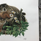 Art & Collectibles > Prints > Lithographs - Richard Timm, Woodchuck, Signed Print, 28x22 Wade Collection, Plate 28 by The...