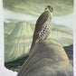 Art & Collectibles > Prints > Lithographs - Richard Sloan, Prairie Falcon, Signed Print, 28x22, Wade Collection, Plate 33...