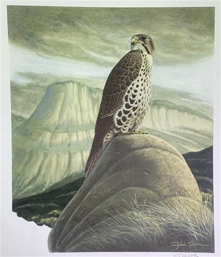 Art & Collectibles > Prints > Lithographs - Richard Sloan, Prairie Falcon, Signed Print, 28x22, Wade Collection, Plate 33...