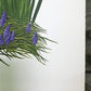Art & Collectibles > Prints > Lithographs - Maryrose Wampler, Spring Bulbs, Signed Print, 28x22 Wall Art, Plate 26 by The...