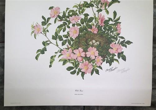Art & Collectibles > Prints > Lithographs - Maryrose Wampler, Wild Rose, Signed Print, 28x22 Wall Art, Plate 22 by The Old...