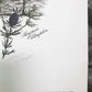 Art & Collectibles > Prints > Lithographs - Maryrose Wampler, Common Sunflower, Signed Print, 28x22 Wall Art, Plate 24 by...