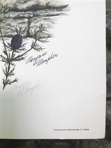 Art & Collectibles > Prints > Lithographs - Maryrose Wampler, Common Sunflower, Signed Print, 28x22 Wall Art, Plate 24 by...