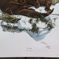 Art & Collectibles > Prints > Lithographs - Richard Timm, River Otter, Signed Print, 28x22 Wade Collection, Plate 6 by The...