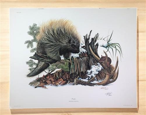 Art & Collectibles > Prints > Lithographs - Richard Timm, Porcupine, Signed Print, 28x22 Wade Collection, Plate 35 by The...