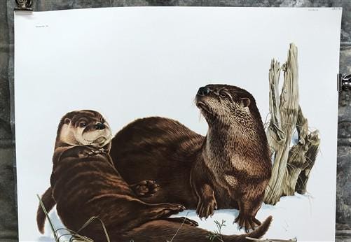 Art & Collectibles > Prints > Lithographs - Richard Timm, River Otter, Signed Print, 28x22 Wade Collection, Plate 6 by The...