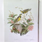 Art & Collectibles > Prints > Lithographs - Richard Sloan, Meadowlark, Signed Print, 28x22, Wade Collection, Plate 24 by T...