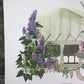 Art & Collectibles > Prints > Lithographs - Maryrose Wampler, Lilac Apple Blossom, Signed Print, 28x22, Wall Art, Plate 6...