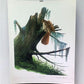 Art & Collectibles > Prints > Lithographs - Richard Sloan, Brown Thrasher, Signed Print, 28x22, Wade Collection, Plate 22...