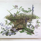 Art & Collectibles > Prints > Lithographs - Maryrose Wampler, Passion Vine, Signed Print, 28x22 Wall Art, Plate 18 by The...