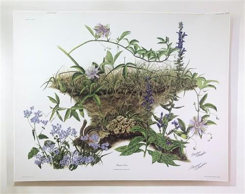 Art & Collectibles > Prints > Lithographs - Maryrose Wampler, Passion Vine, Signed Print, 28x22 Wall Art, Plate 18 by The...