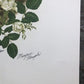 Art & Collectibles > Prints > Lithographs - Maryrose Wampler, Iris & Old Roses, Signed Print, 28x22 Wall Art, Plate 3 by T...