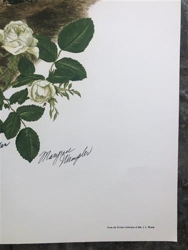 Art & Collectibles > Prints > Lithographs - Maryrose Wampler, Iris & Old Roses, Signed Print, 28x22 Wall Art, Plate 3 by T...