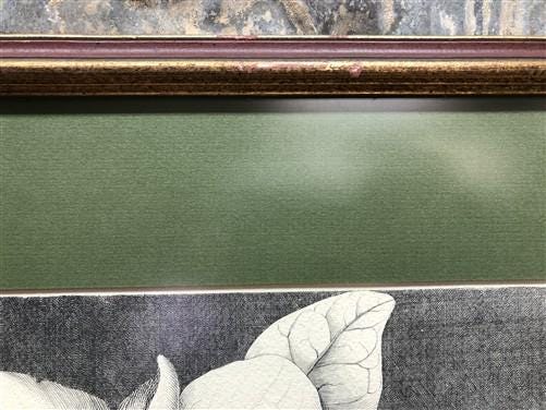 Home & Living > Home Decor > Wall Decor > Wall Hangings - Mark Catesby, Magnolia Altissima, Plate 61, Ehret, Framed Botani...
