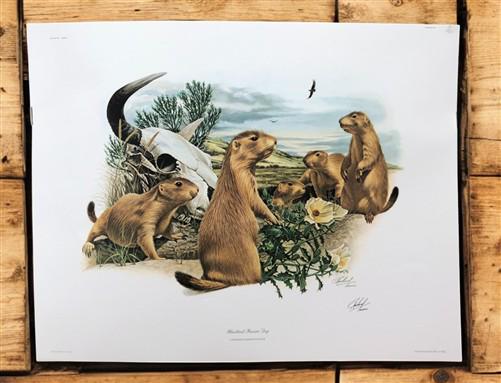 Art & Collectibles > Prints > Lithographs - Richard Timm, Prairie Dog, Signed Print, 28x22 Wade Collection, Plate 29 by Th...