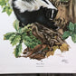Art & Collectibles > Prints > Lithographs - Richard Timm, Striped Skunk, Signed Print, 28x22 Wade Collection, Plate 4 by T...