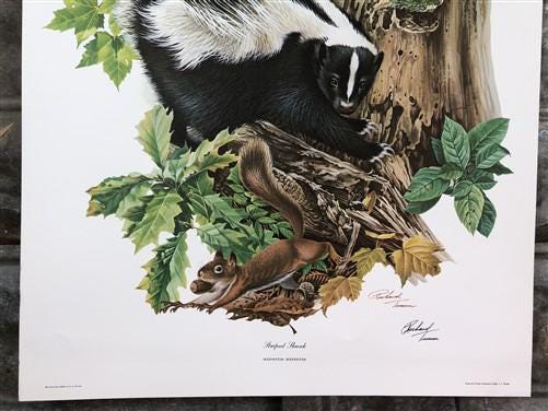Art & Collectibles > Prints > Lithographs - Richard Timm, Striped Skunk, Signed Print, 28x22 Wade Collection, Plate 4 by T...