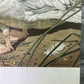 Art & Collectibles > Prints - Axel Amuchastegui, Black Necked Swan, 20.75x14 South American Bird Print A by The Old Grainery