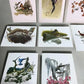 Art & Collectibles > Prints - 15 Miniature 4x5 Richard Sloan North American Bird Art Prints, Nature House A by The Old Gra...