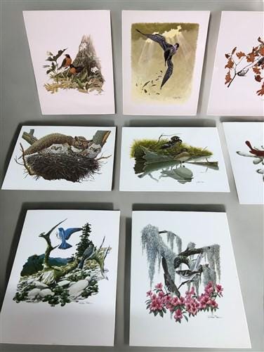 Art & Collectibles > Prints - 15 Miniature 4x5 Richard Sloan North American Bird Art Prints, Nature House A by The Old Gra...