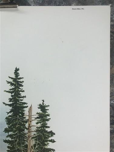 Art & Collectibles > Prints > Lithographs - Richard Timm, Mule Deer, Signed Print, 28x22 Wade Collection, Plate 32 by The...