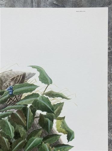 Richard Sloan, California Quail, Signed Print, 28x22, Wade Collection, Plate 27