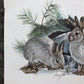 Art & Collectibles > Prints > Lithographs - Richard Timm, Snowshoe Hare, Signed Print, 28x22 Wade Collection, Plate 25 by...