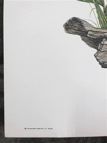 Maryrose Wampler, Paintbrush & Sagebrush, Signed Print, 28x22 Wall Art, Plate 25