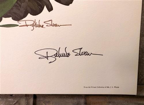 Richard Sloan, Brown Pelican, Signed Print, 28x22, Wade Collection, Plate 17