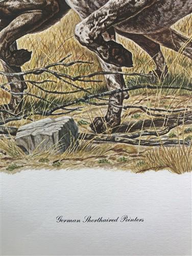 Ernest Hart, German Pointers, Signed Dog Print, 28x22, Wade Collection, Plate 3