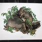 Art & Collectibles > Prints > Lithographs - Richard Timm, Armadillo, Signed Print, 28x22 Wade Collection, Plate 23 by The...