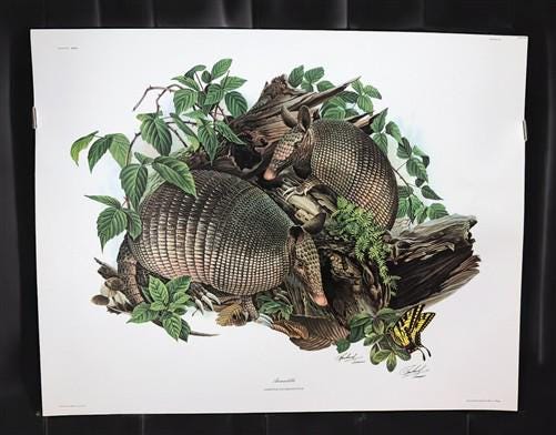 Art & Collectibles > Prints > Lithographs - Richard Timm, Armadillo, Signed Print, 28x22 Wade Collection, Plate 23 by The...