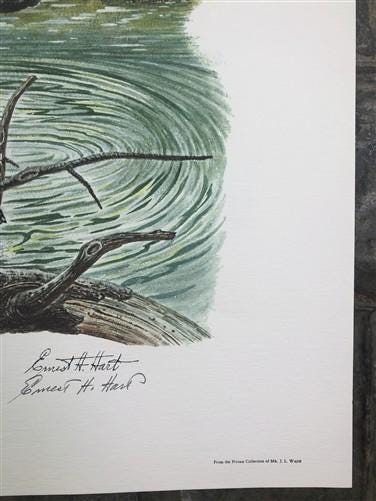 Art & Collectibles > Prints > Lithographs - Ernest Hart, Labrador, Signed Dog Print, 28x22, Wade Collection, Plate 5 by Th...