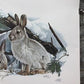 Art & Collectibles > Prints > Lithographs - Richard Timm, Snowshoe Hare, Signed Print, 28x22 Wade Collection, Plate 25 by...