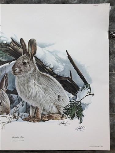 Art & Collectibles > Prints > Lithographs - Richard Timm, Snowshoe Hare, Signed Print, 28x22 Wade Collection, Plate 25 by...
