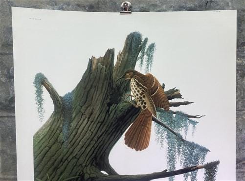 Art & Collectibles > Prints > Lithographs - Richard Sloan, Brown Thrasher, Signed Print, 28x22, Wade Collection, Plate 22...
